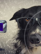 6 dicas que a Filmadora mostrará para você!