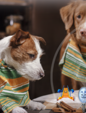 Traga a Matemática para a vida real.